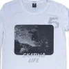 Remera de algodón